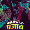 Wild Wild Punjab