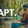 APT. mp3 Download