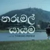 Tharu Mal Yayama Cover mp3 Download