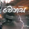 Wenasa mp3 Download