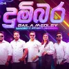 Dumbara Baila Medley mp3 Download