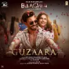 Baaghi 4: Guzaara (Song) mp3 Download