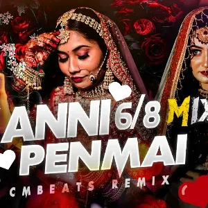 Kanni Penne 6/8 Mix mp3 Download