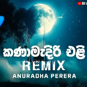Kanamediri Eli (Remix) mp3 Download