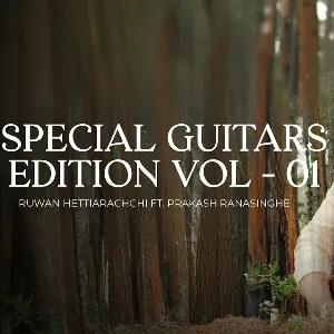 Special Guitars Edition Vol - 01 mp3 Download