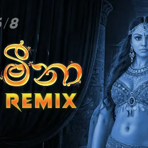 Meena (DJ REMIX) mp3 Download