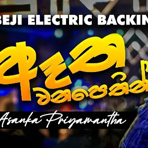 Atha Wana Pethin (Live Cover) mp3 Download