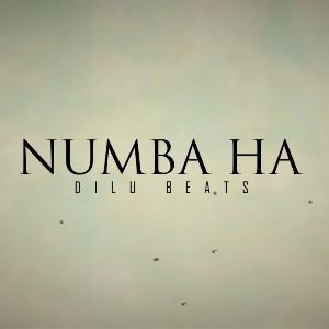 Numba Ha