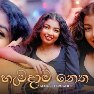 Hamadama Netha