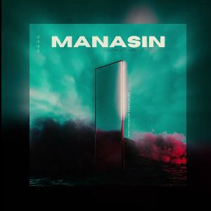 Manasin