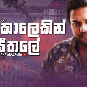 Digu Kalekin Seethale (Cover)