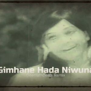 Gimhane Hada Niwuna (Remix)
