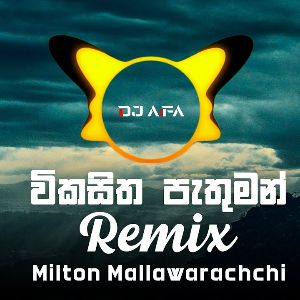 Vikasitha Pathuman (Remix)