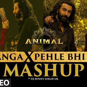 Satranga X Pehle Bhi Main (Mashup)