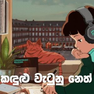 Kandulu Watunu Neth Pitu Athare (Lofi Version Sinhala Cover)