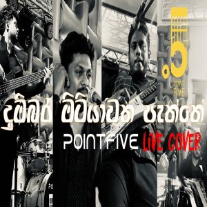 Dumbara Mitiyawatha Paththe (Live Cover)