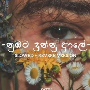 Numbata Dunnu Aale (Slowed & Reverb Version)