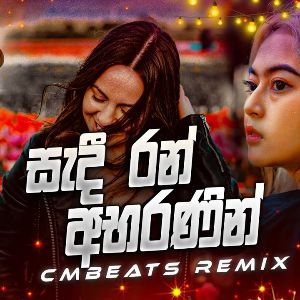 Sadi Ran Abaranin (Remix)