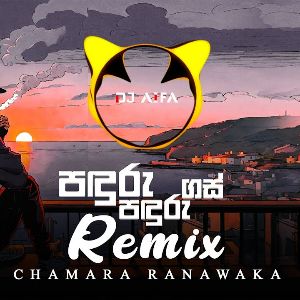 Panduru Panduru Gas (Remix)